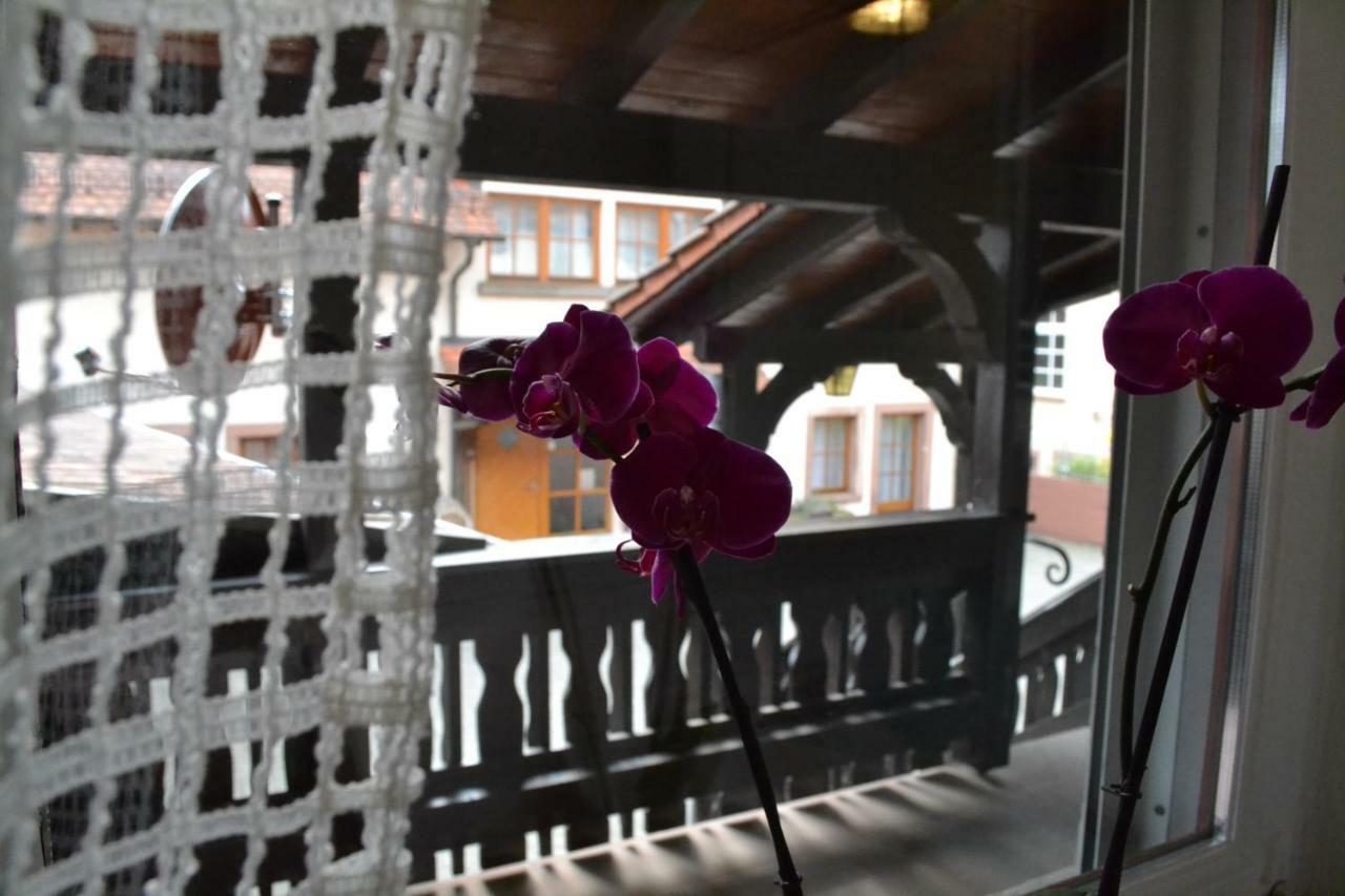 Pension - Gaestehaus Zum Pfaelzerwald Hinterweidenthal Екстериор снимка